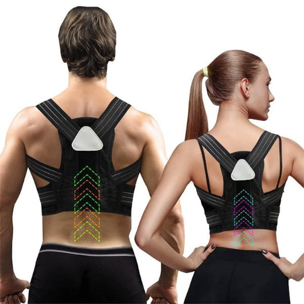 Ceinture lombaire