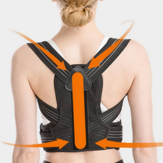 Ceinture lombaire
